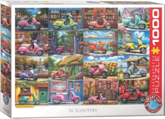 16 Skootteria